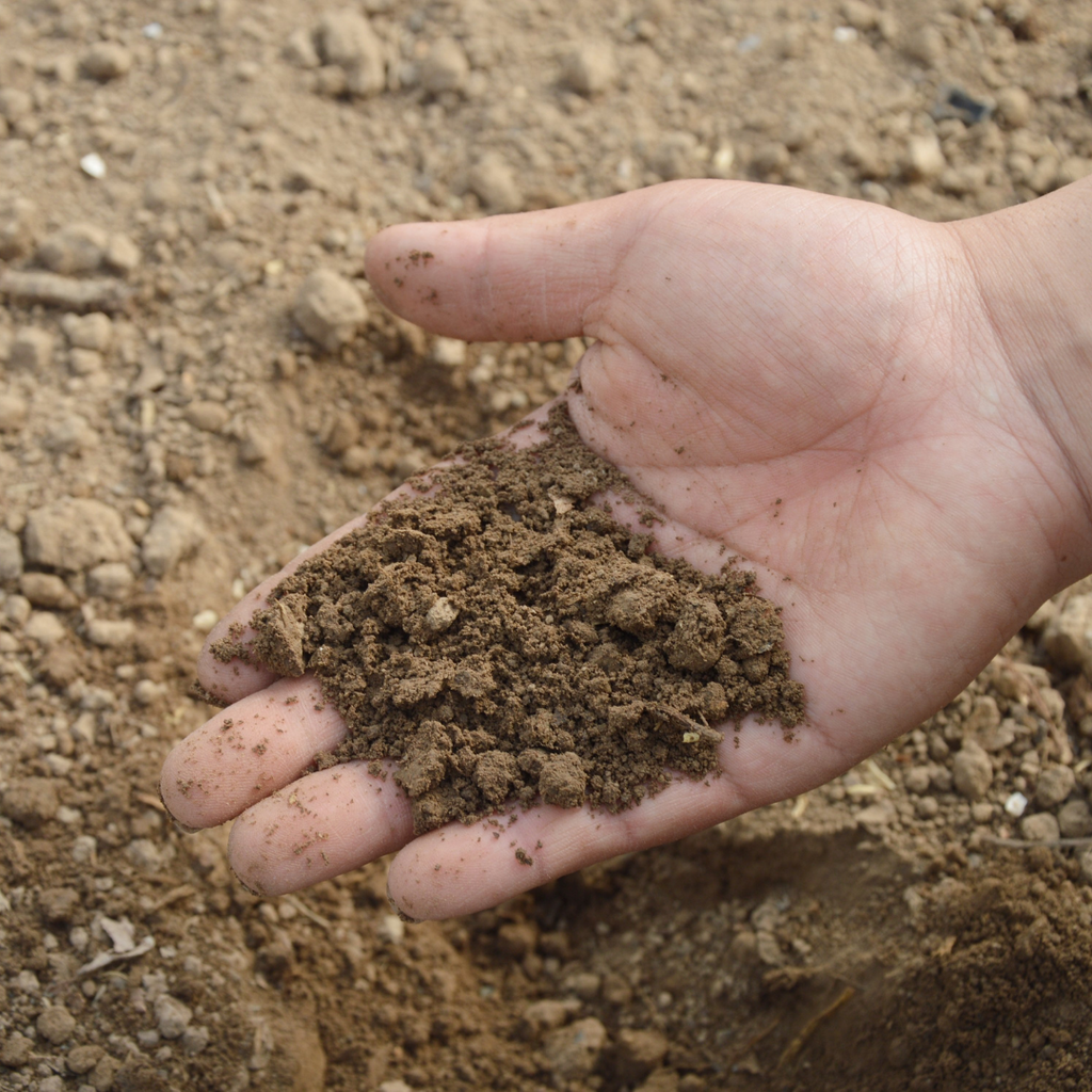 FERTILISER