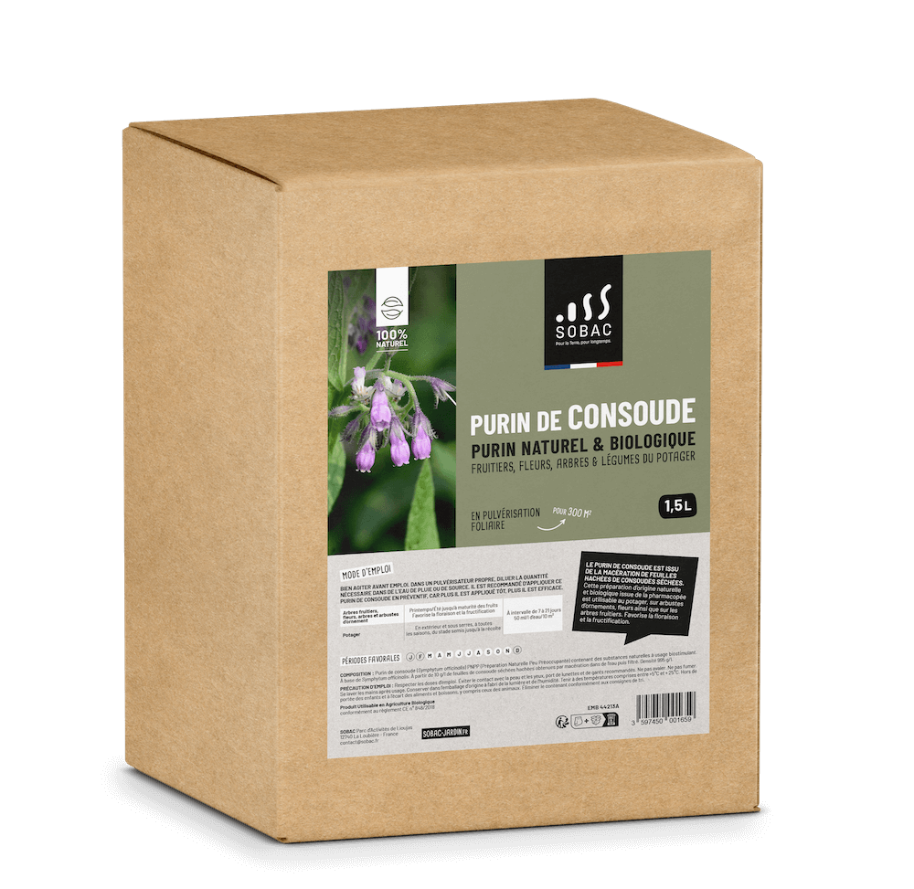 Purin de consoude bag in box 1,5 L