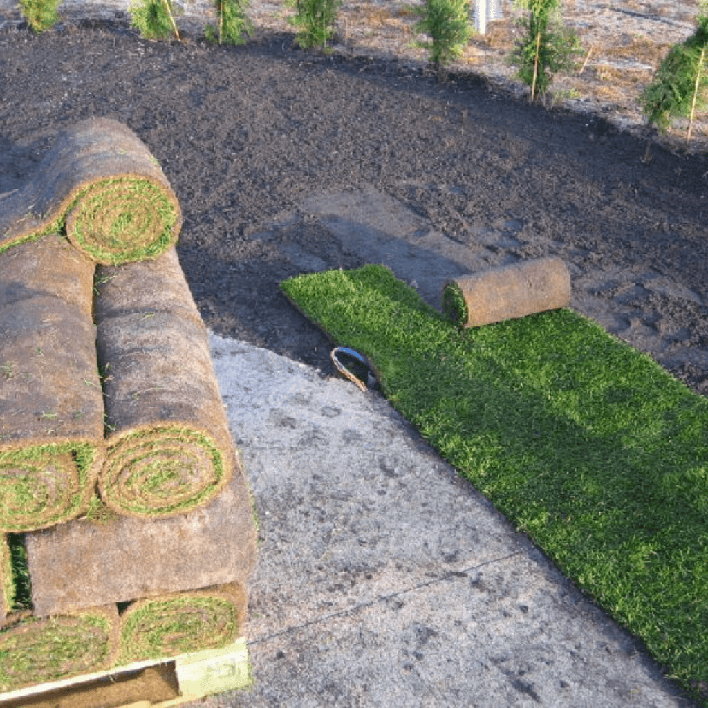 gazon de placage naturel