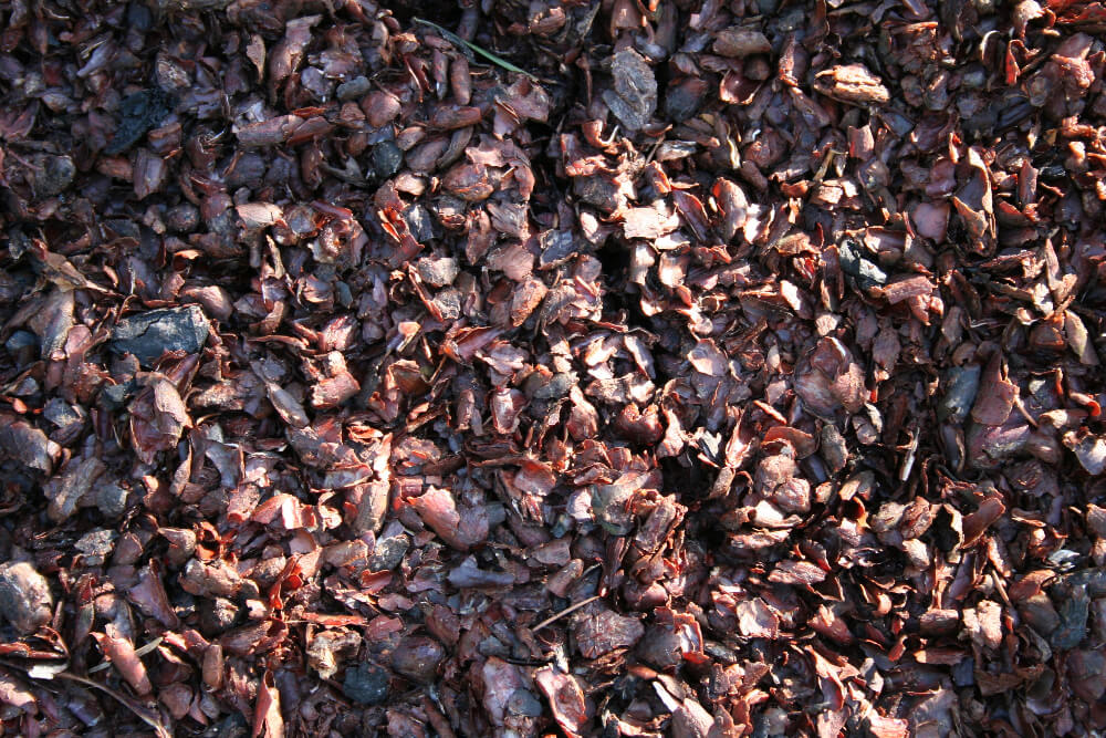 Paillis de coque de cacao - Sac de 100 L