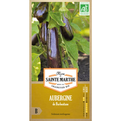 aubergine-de-barbentane-bio