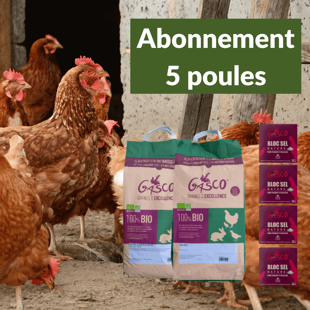 Abonnement nourriture bio poules