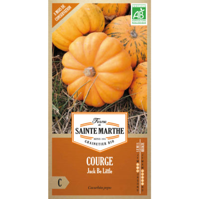 courge-jack-be-little-bio