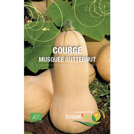 Graine Courge-Butternut