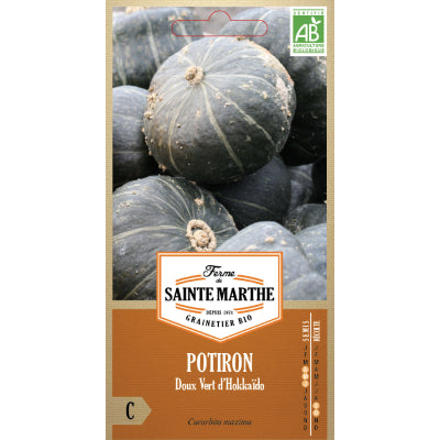 potiron-doux-vert-dhokkaido-bio