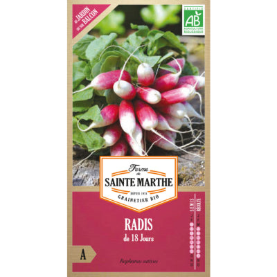 radis-de-18-jours-bio