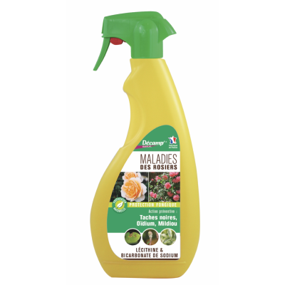 spray-traitement-maladies-des-rosiers