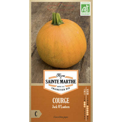 courge-jack-o-lantern-bio