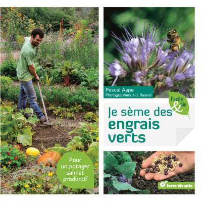 je-seme-des-engrais-verts-pour-un-potager-sain-et-productif